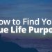 Finding Your Purpose in Life
