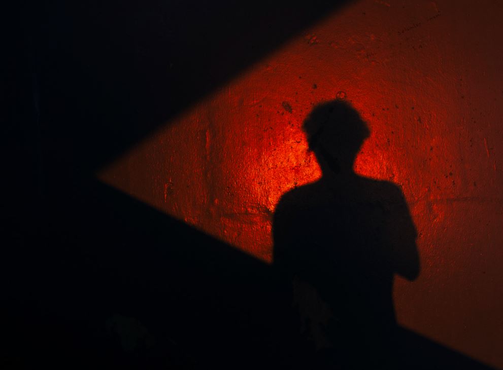 Shadow Self