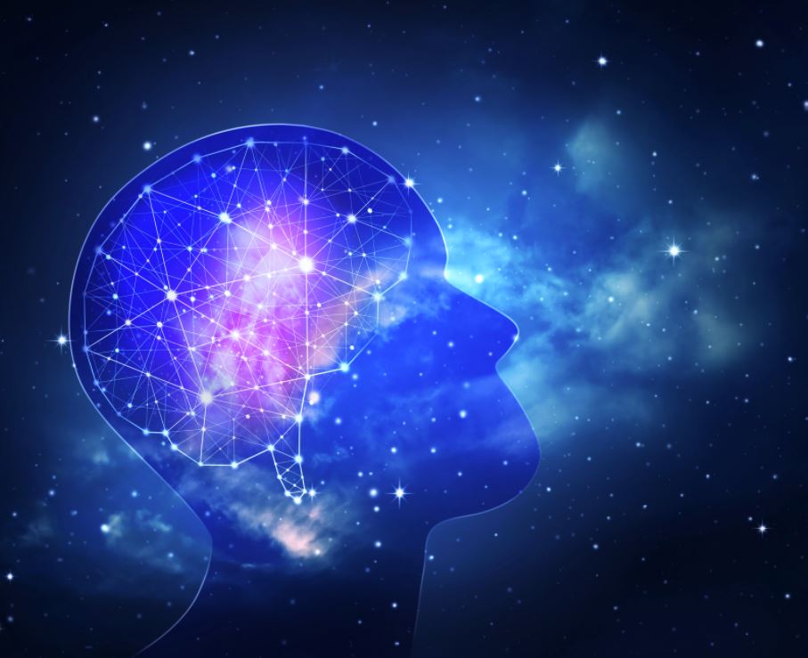 Intelligence